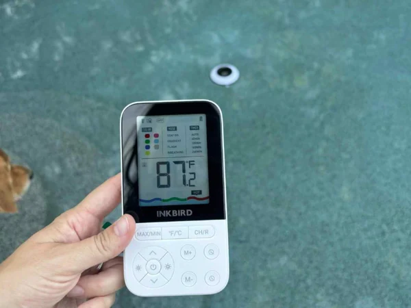 INKBIRD IBS-P05R Pool Thermometer Review: A Smarter Way to Monitor Water Temperature