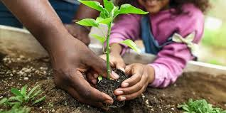 Embracing Eco-Friendly Habits with So Watt